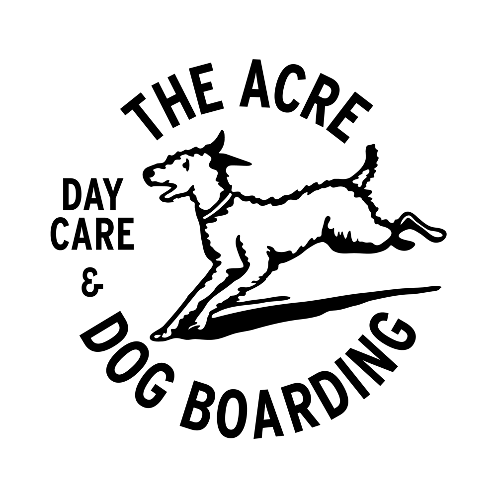 Dog Boarding And Dog Daycare In Austin The Acre At Crow