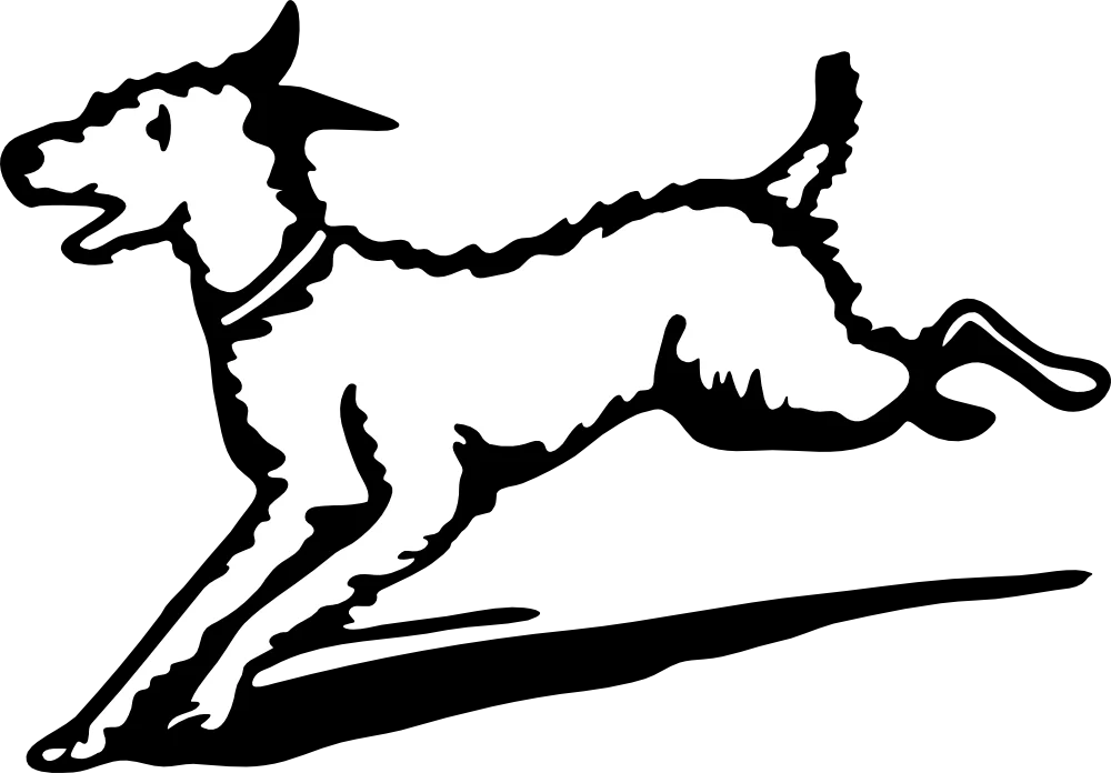 acre dog graphic