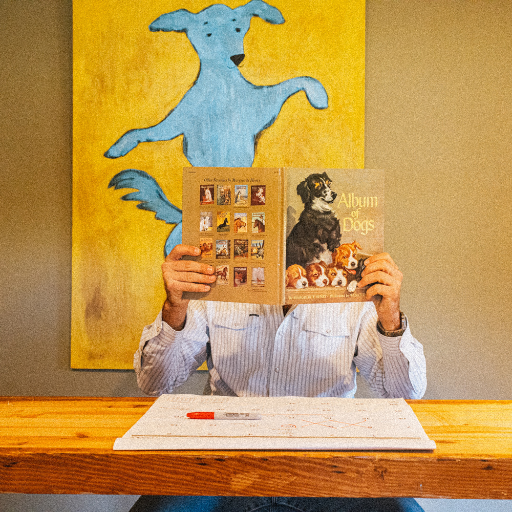 Dog Boarding And Dog Daycare In Austin The Acre At Crow